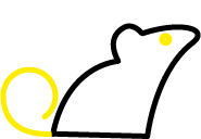 black-mouse-i